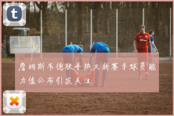 詹姆斯韦德联手热火新赛季球员能力值公布引发关注